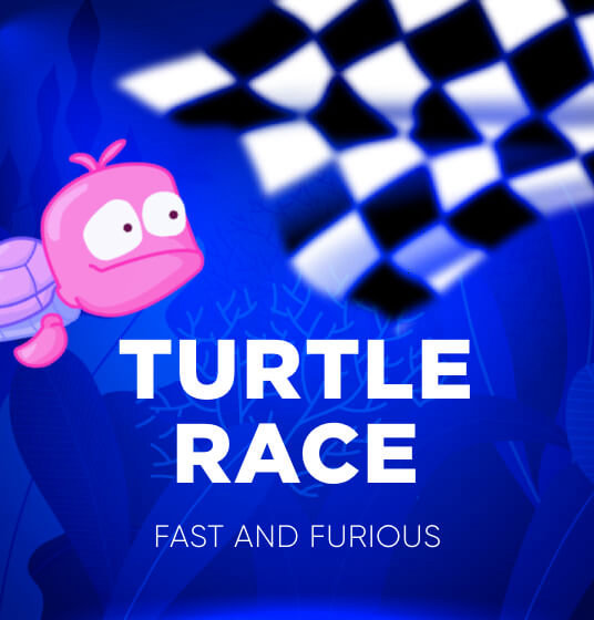 Turtle Race